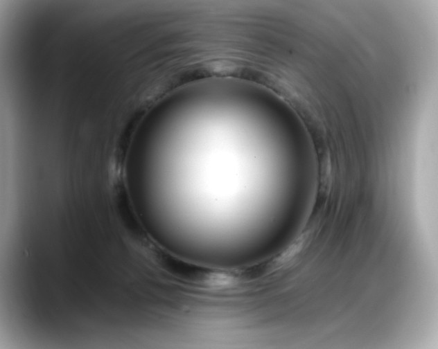 X0000088370176200706051048
