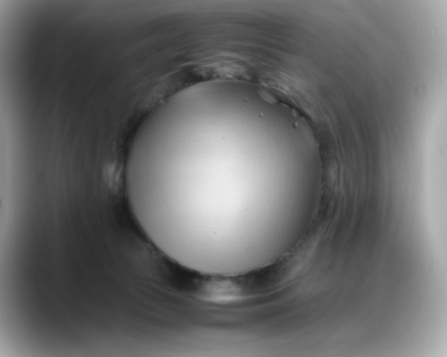 X0000088370177200706051048