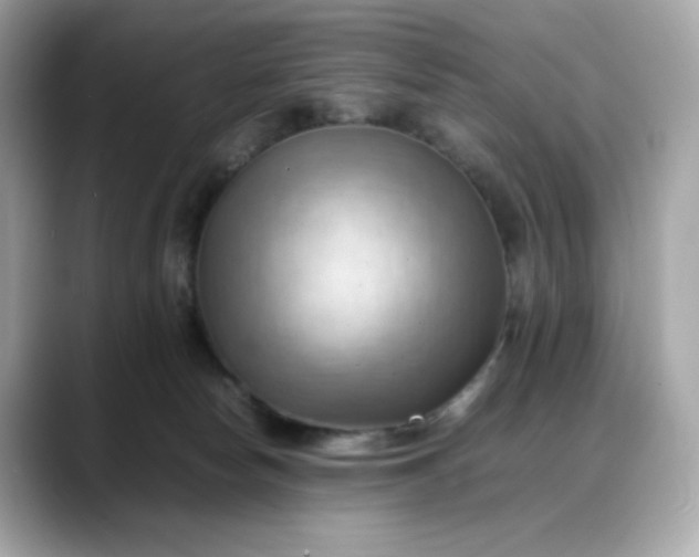 X0000088370178200706051048