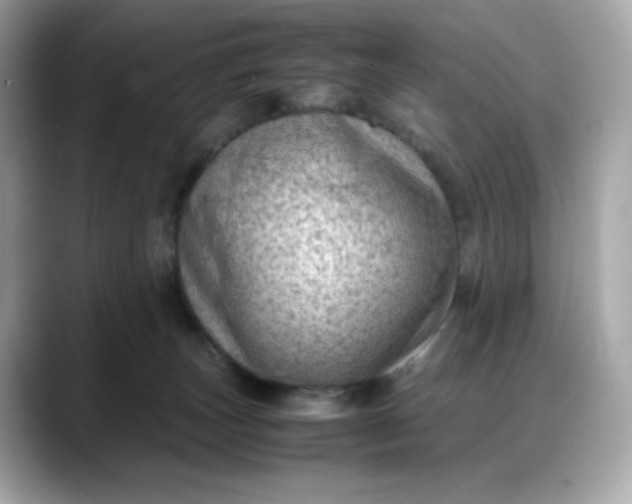 X0000088370179200706051048