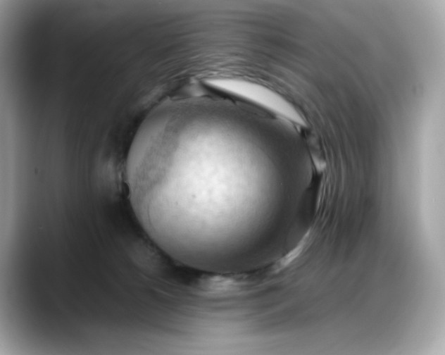 X0000088370180200706051048