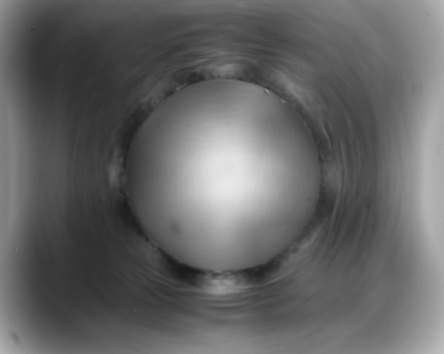 X0000088370181200706051048