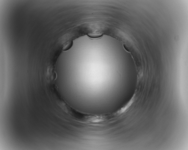 X0000088370182200706051048