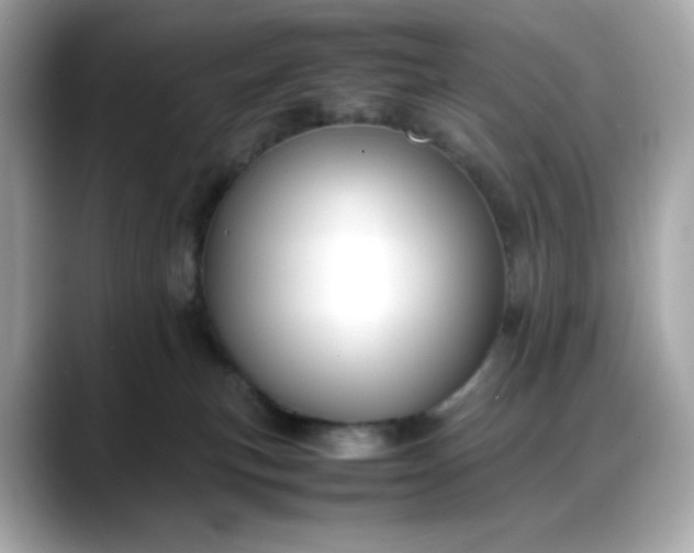 X0000088370183200706051048