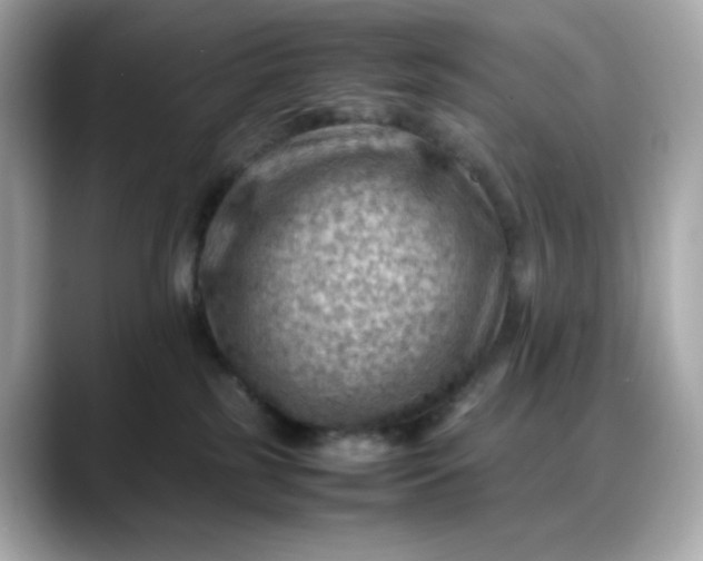 X0000088370185200706051048