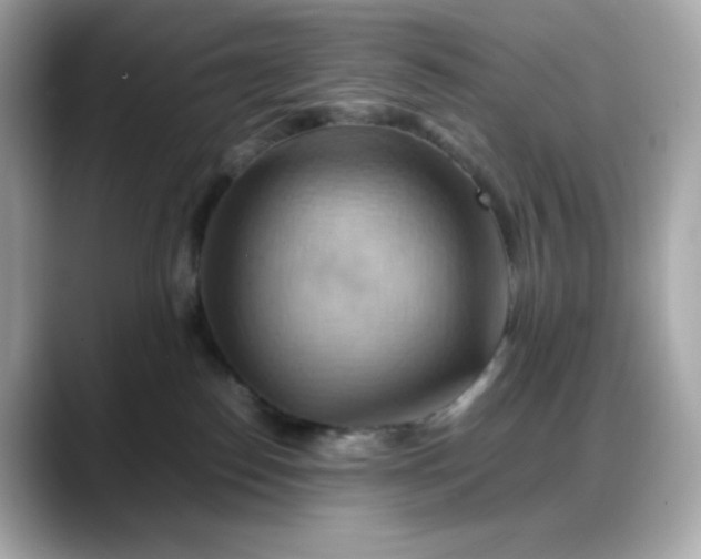 X0000088370186200706051048