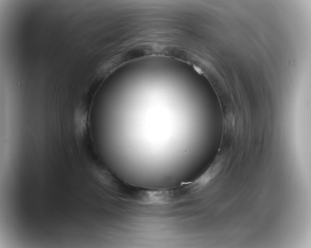 X0000088370188200706051048