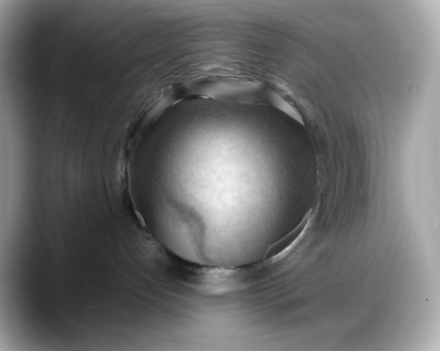 X0000088370192200706051048