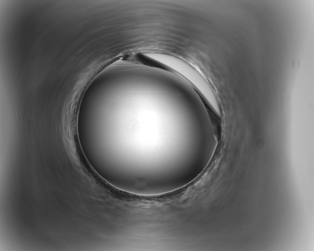 X0000088370193200706051047