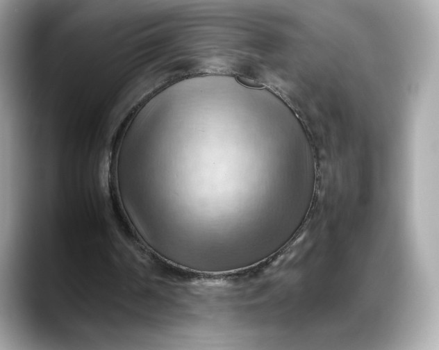 X0000088370194200706051047