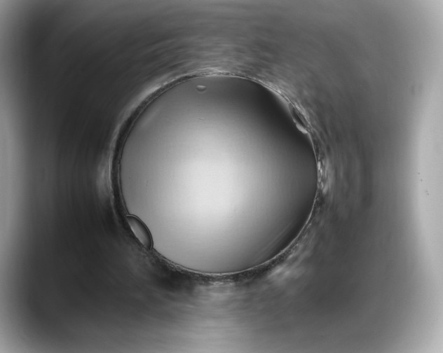 X0000088370196200706051047