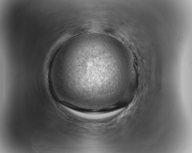X0000088370197200706051047