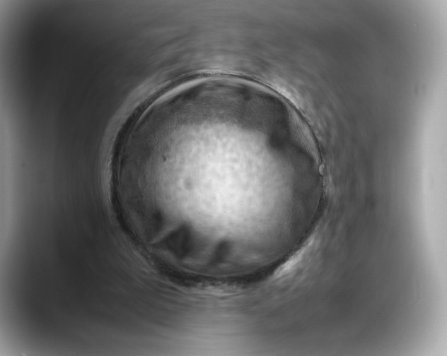 X0000088370199200706051047