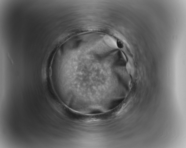 X0000088370203200706051047