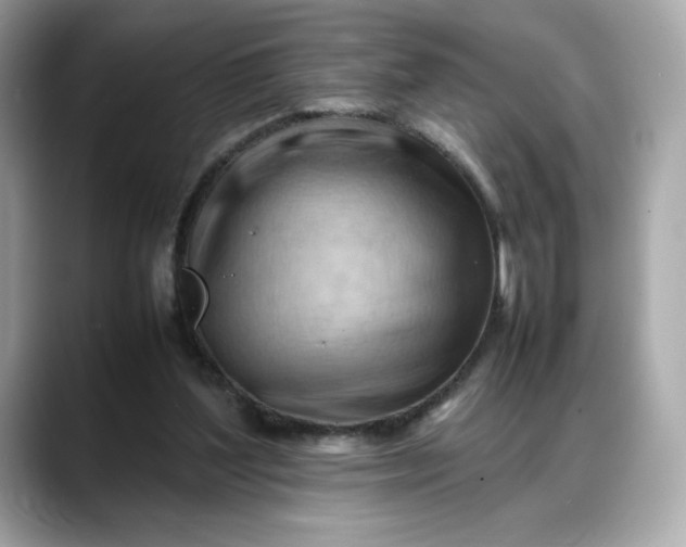 X0000088370204200706051047