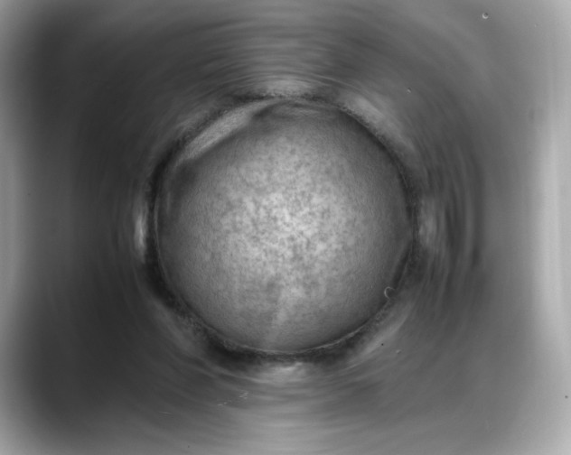 X0000088370206200706051047