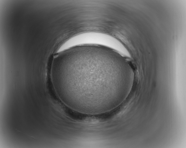 X0000088370207200706051047