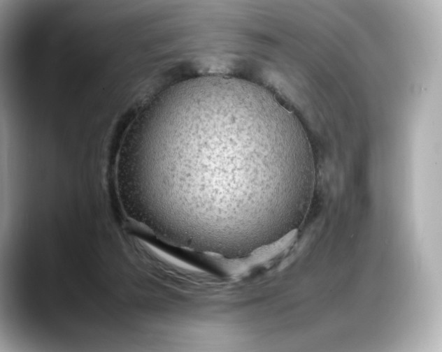 X0000088370209200706051047