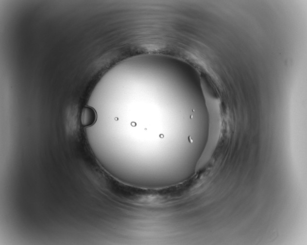 X0000088370212200706051047