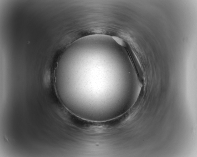 X0000088370213200706051047