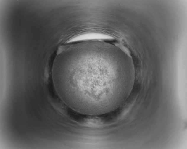 X0000088370215200706051047
