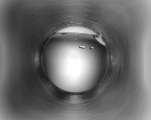 X0000088370216200706051047