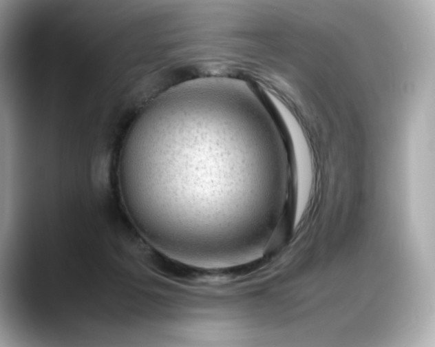X0000088370217200706051047