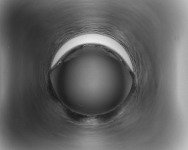 X0000088370219200706051047