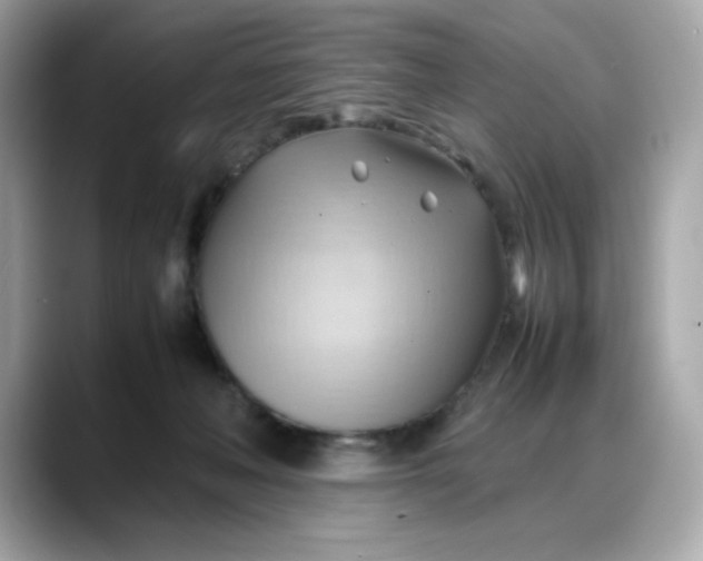 X0000088370222200706051047