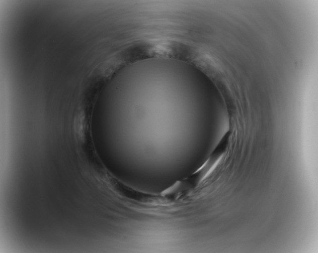 X0000088370223200706051047