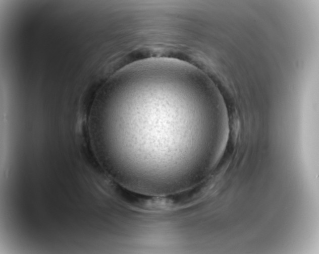 X0000088370225200706051047
