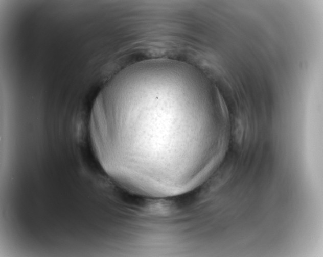 X0000088370226200706051047