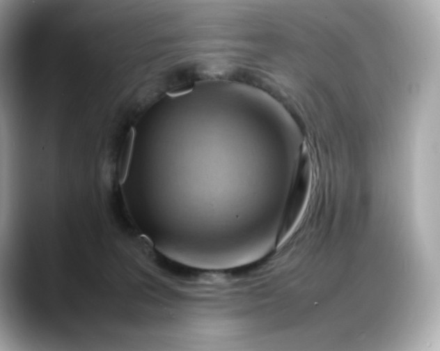 X0000088370227200706051047