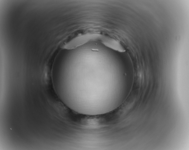 X0000088370228200706051047