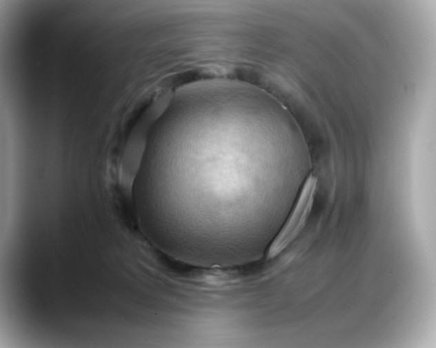 X0000088370229200706051047