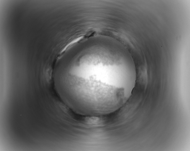 X0000088370230200706051047