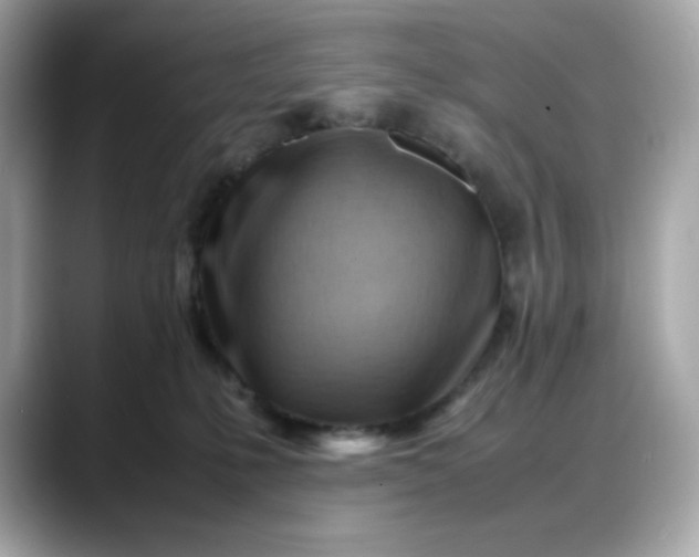 X0000088370231200706051047