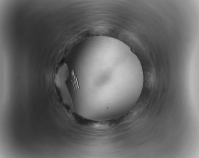 X0000088370232200706051047