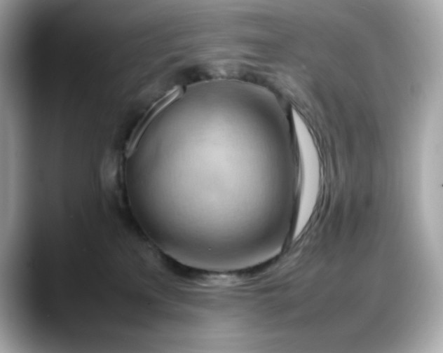 X0000088370233200706051047