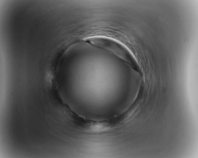 X0000088370235200706051047