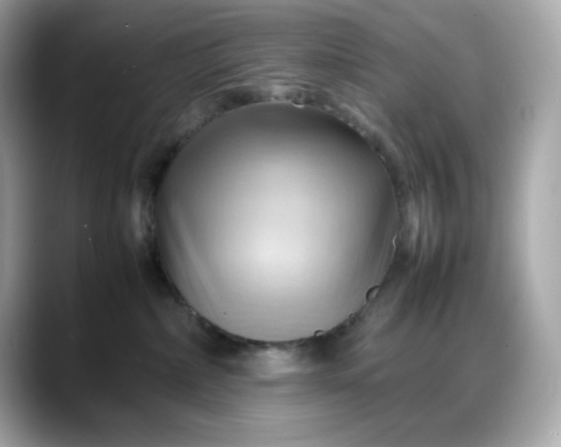 X0000088370236200706051047