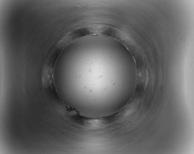 X0000088370237200706051047