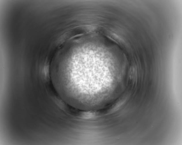 X0000088370238200706051047