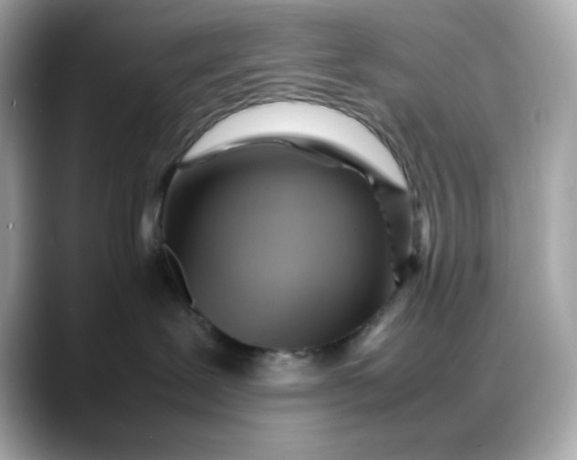X0000088370239200706051047
