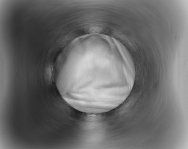 X0000088370240200706051047