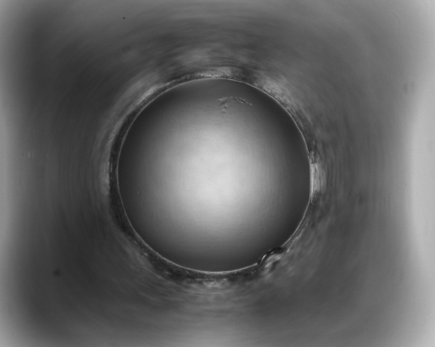 X0000088370243200706051046