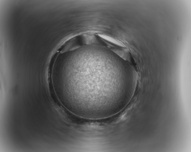 X0000088370244200706051046