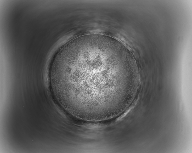 X0000088370245200706051046