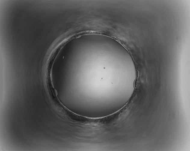 X0000088370247200706051046
