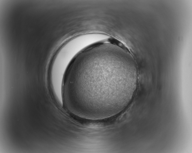 X0000088370248200706051046
